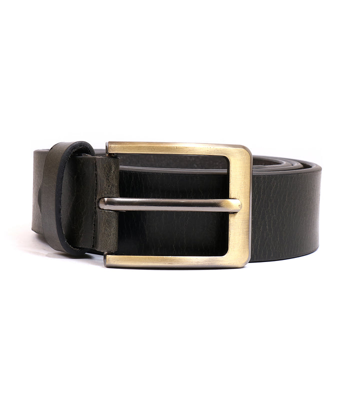Belt 420174