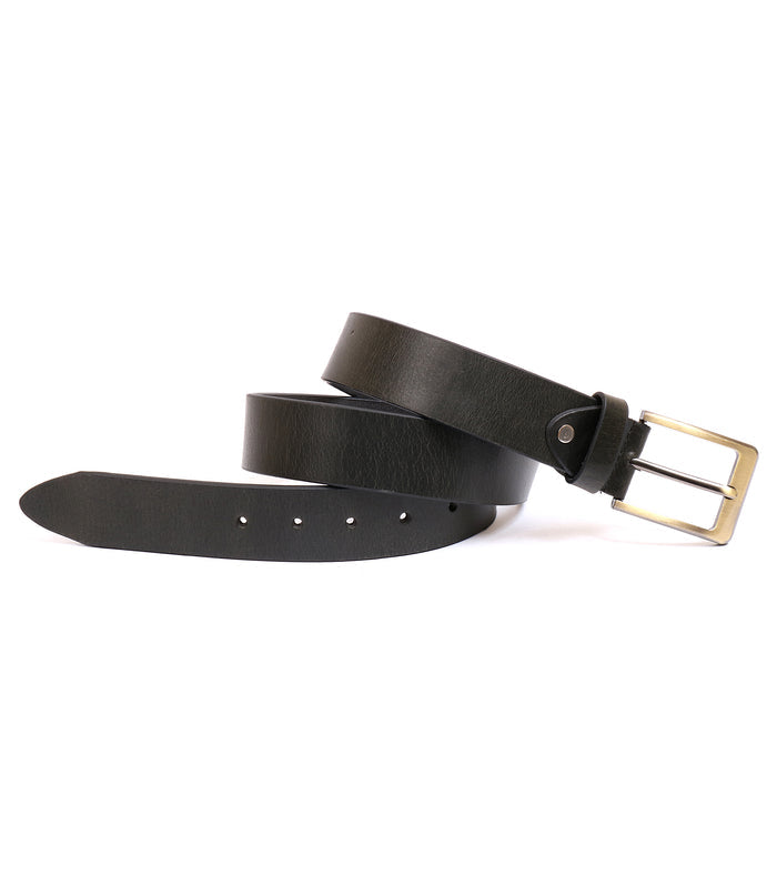Belt 420174