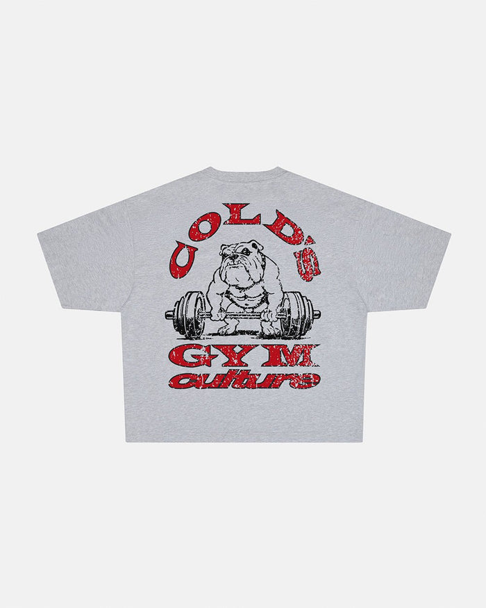 COLD´S GYM BOXY TEE GREY - grey boxy tee, back view - Cold Culture