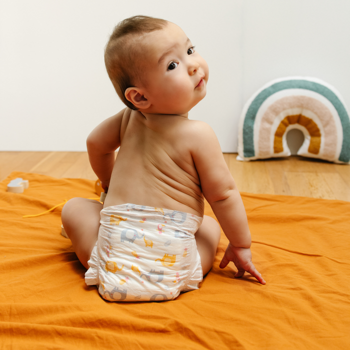 Couches Bébé Écologiques Carryboo Nature - Taille 4 plus
