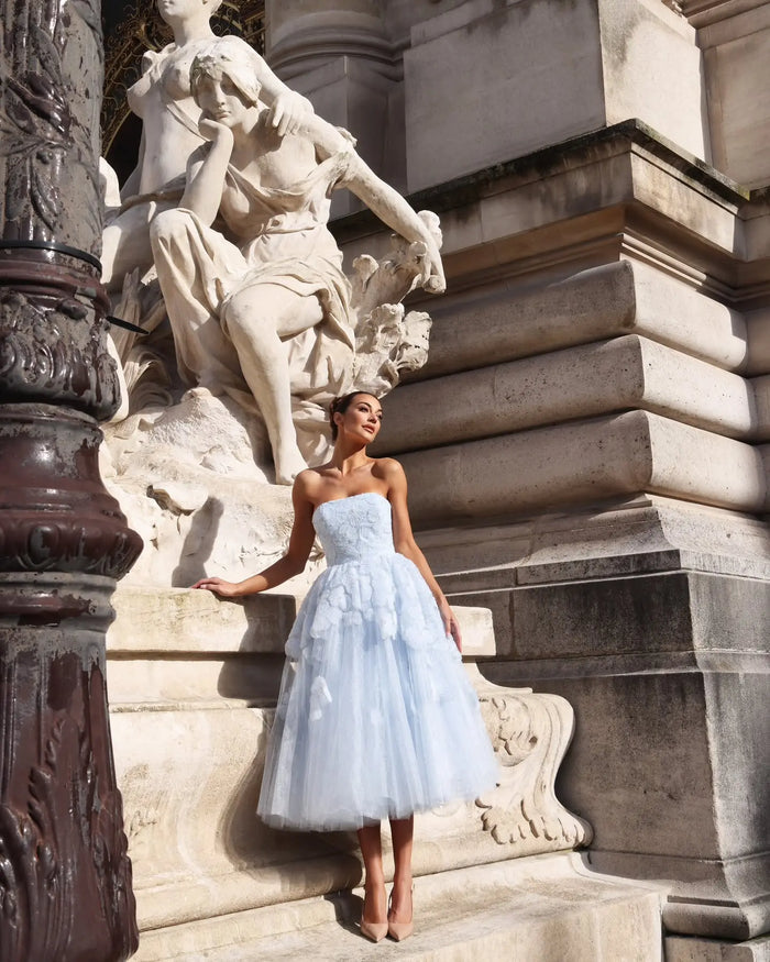 Elegant Blue Strapless Lace-Up Corset 3D Floral Midi Ballgown Homecoming Dress RM232 Sheer Fairy