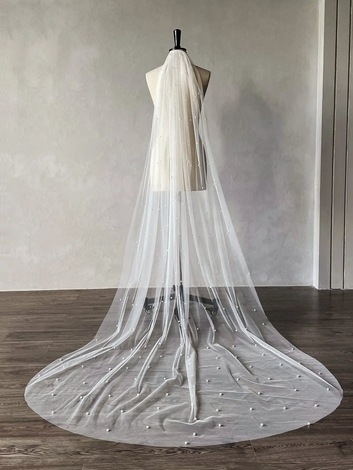 Vintage Floral Lace Mantilla Bridal Veil Long Cathedral Length 90.55 Inches Lace Trim Wedding Veil for Bride BV001（副本） SHEER FAIRY