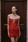 Glamorous Sheath Lace Homecoming Dress with Corset-Inspired Seam RM219 Sheer Fairy