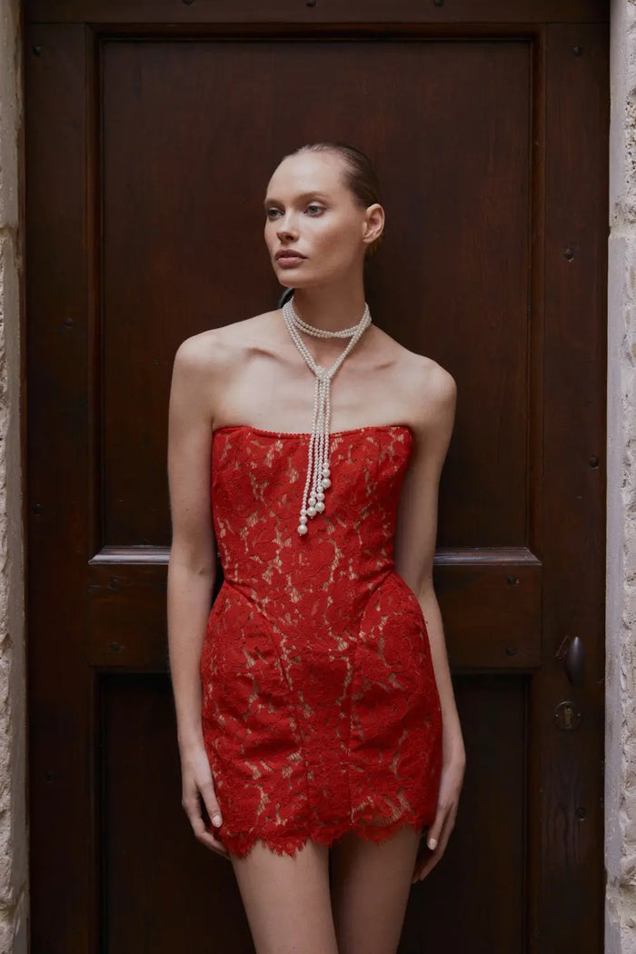 Glamorous Sheath Lace Homecoming Dress with Corset-Inspired Seam RM219 Sheer Fairy
