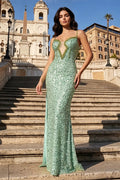 ST029 Sheer Fairy