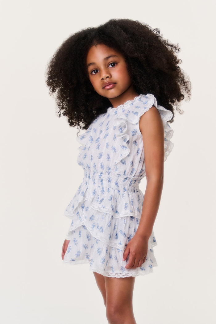 Little Girls Indigo Cloud Decker Dress