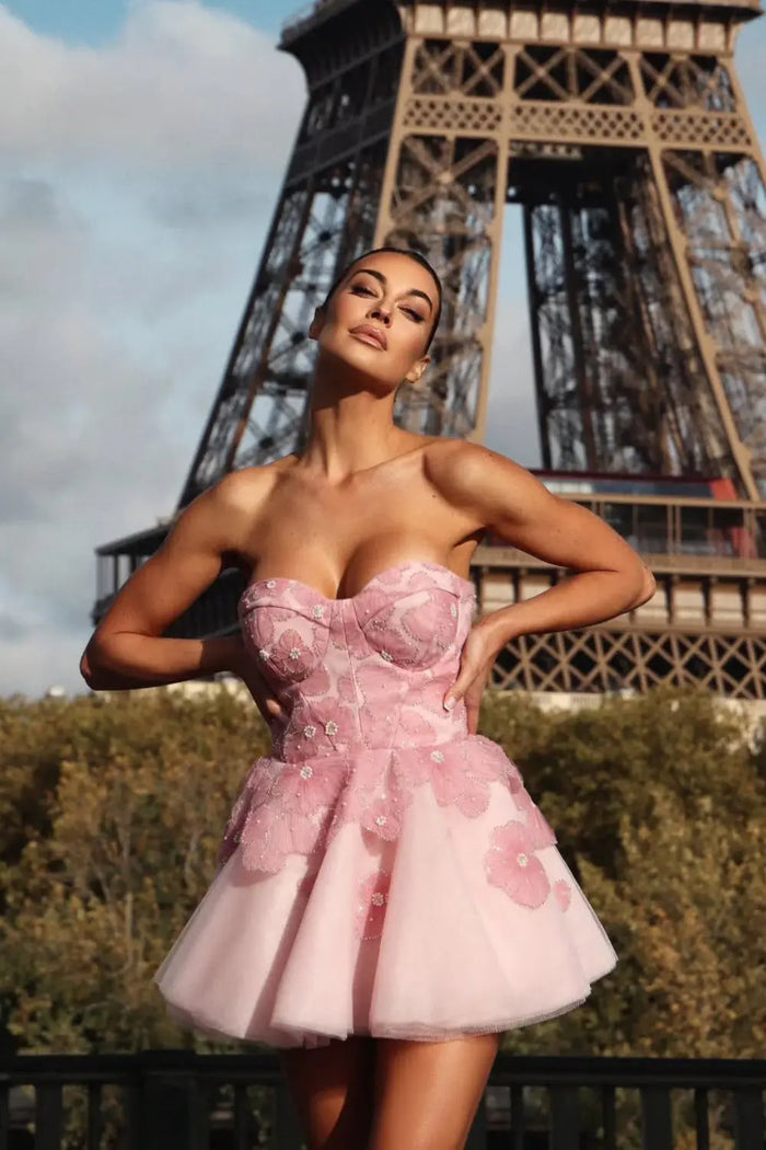 Romantic Pink Boned Corset Bust Mini A-Line Homecoming Dress RM230 Sheer Fairy