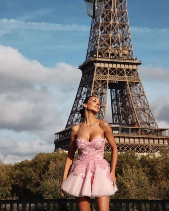 Romantic Pink Boned Corset Bust Mini A-Line Homecoming Dress RM230 Sheer Fairy