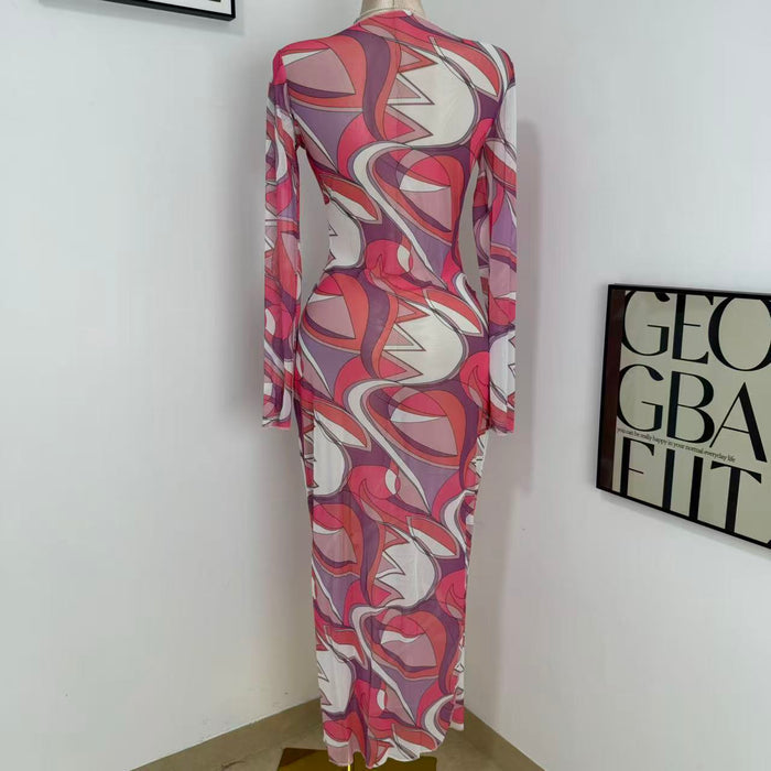 Slimming Body-Hugging Mesh Dress