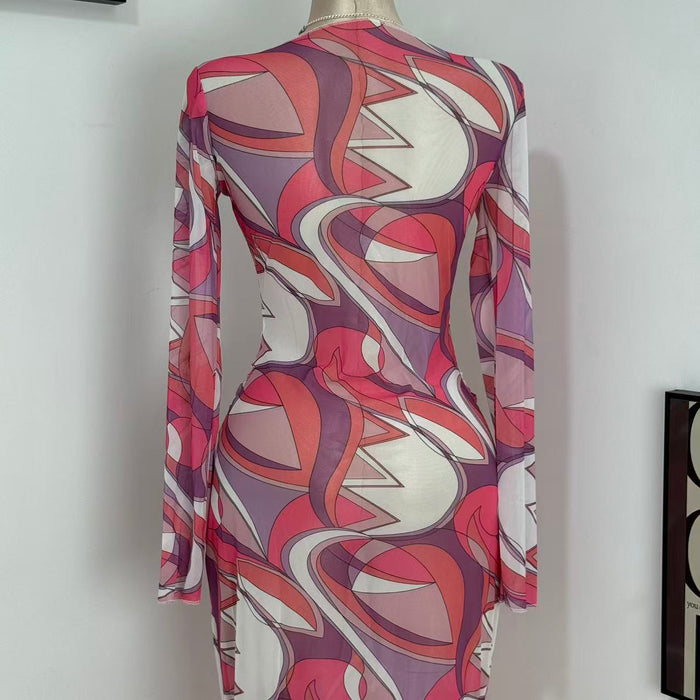 Slimming Body-Hugging Mesh Dress