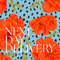 UK Next Day Delivery for 1 Year